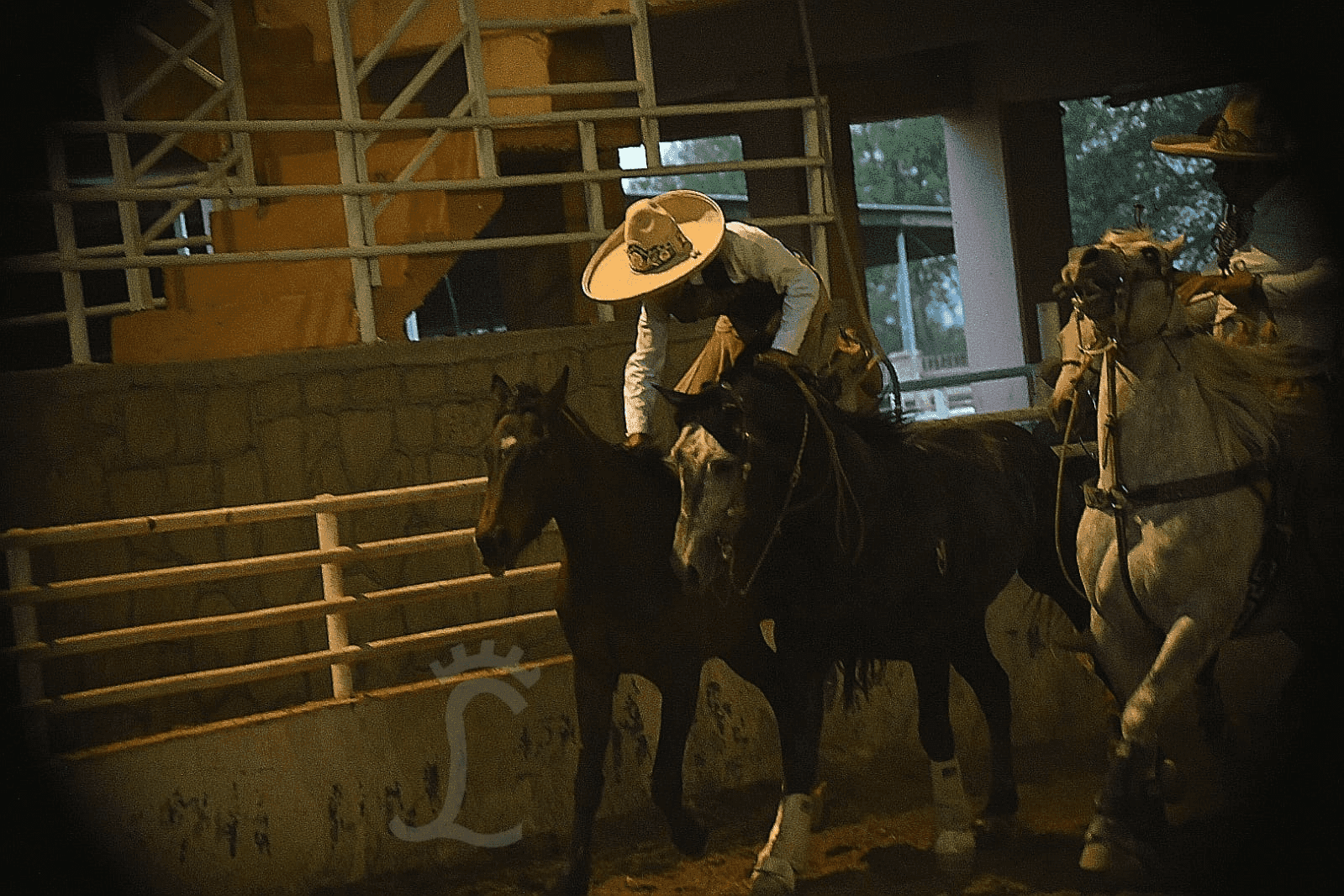 Lee más sobre el artículo Valle de Guadalupe luce en el estatal charro