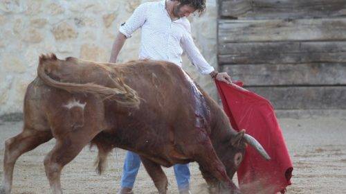 Octavio García El Payo, matador mexicano.
