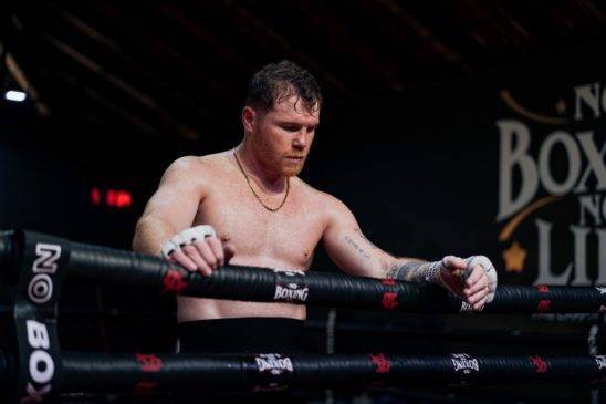 Lee más sobre el artículo Canelo Álvarez ¿Intolerante a las críticas?