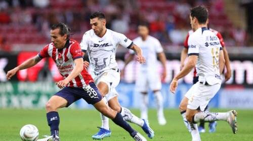 Pumas recibirá el domingo a las 6:00 de la tarde a las Chivas.