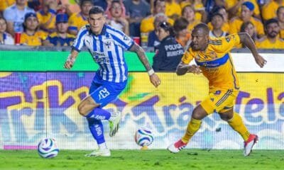 Reconoce Tato Noriega deuda con afición de Rayados