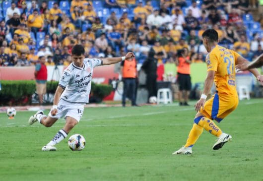 Lee más sobre el artículo Liga MX: Tigres vence 1-0 al Necaxa en El Volcán