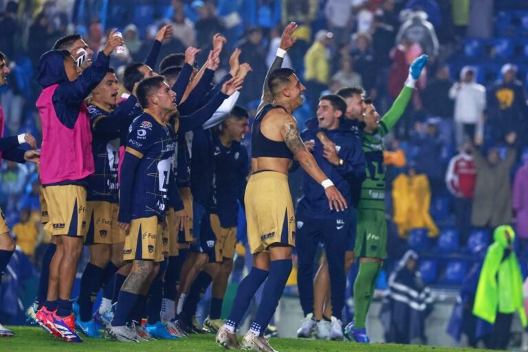 Pumas