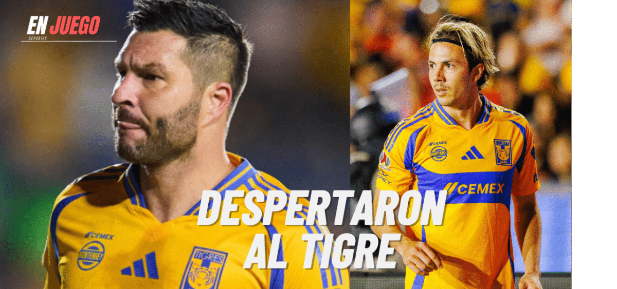 Despertaron al Tigre