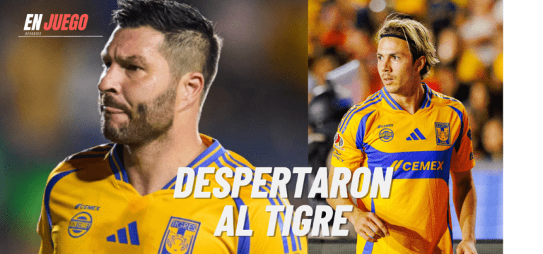 Despertaron al Tigre