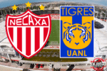 Cierra preventa para abonados del Necaxa vs Tigres en liguilla: Todo lo que necesitas saber