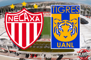 Cierra preventa para abonados del Necaxa vs Tigres en liguilla: Todo lo que necesitas saber