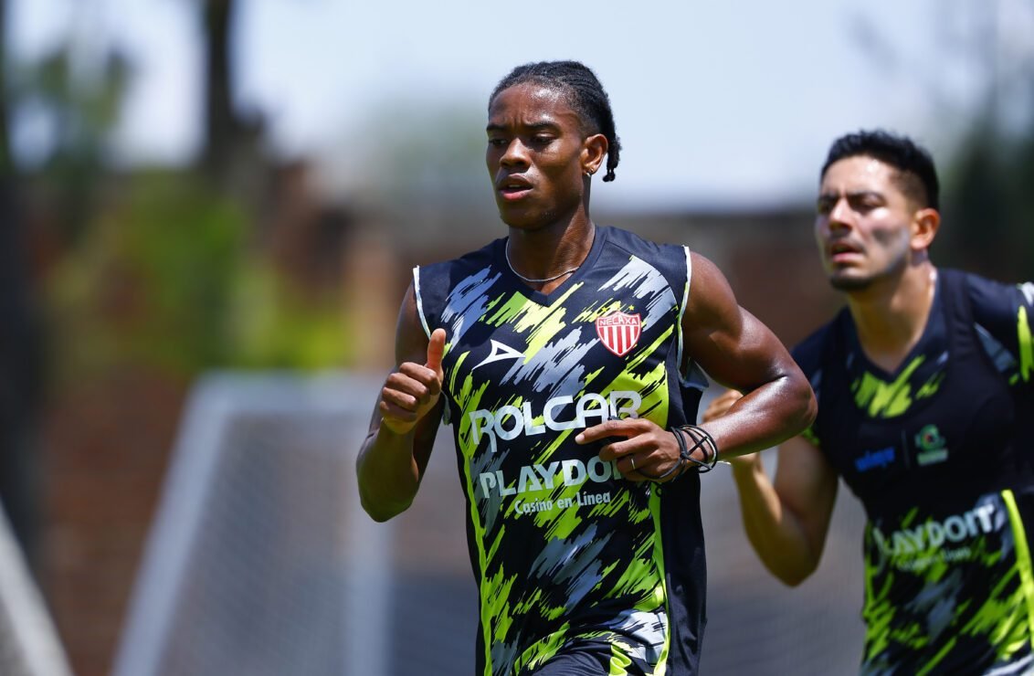 Necaxa
