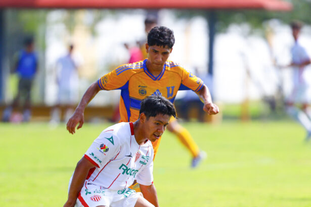 Tigres vs Necaxa