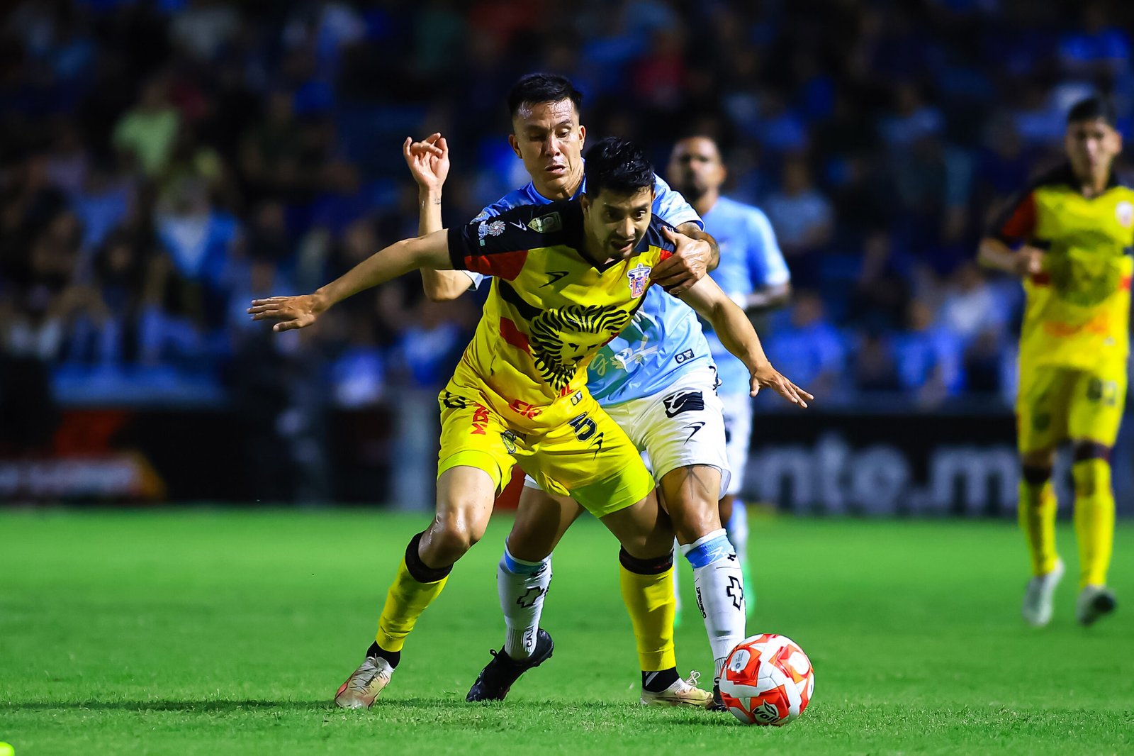 Jaiba Brava dejó en el camino a los Leones Negros y está en semifinales.