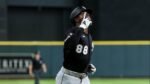 Luis Robert Jr.