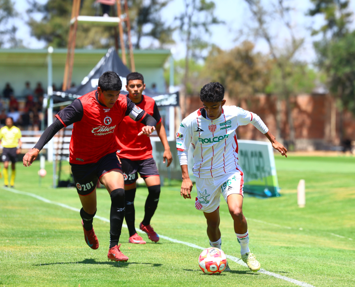 Necaxa vs Xolos Juveniles 