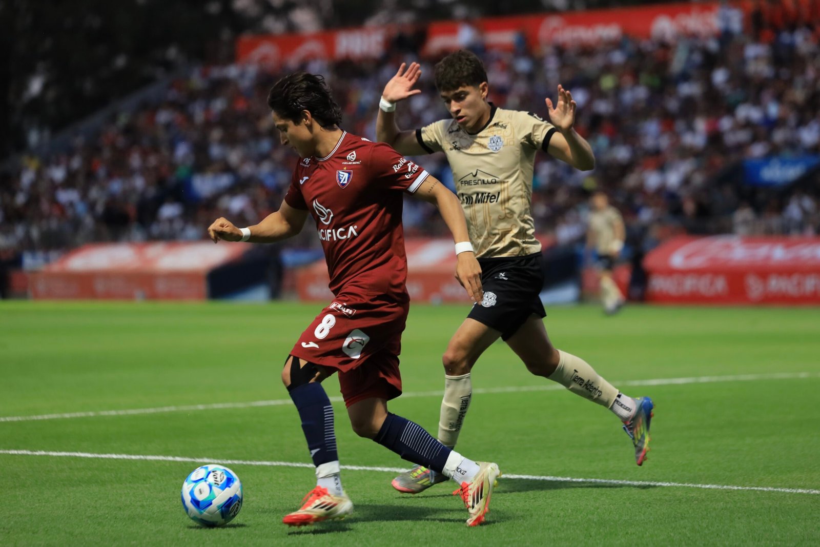 Tepatitlán vs Jaiba Brava será la final de la Liga de Expansión Mx.