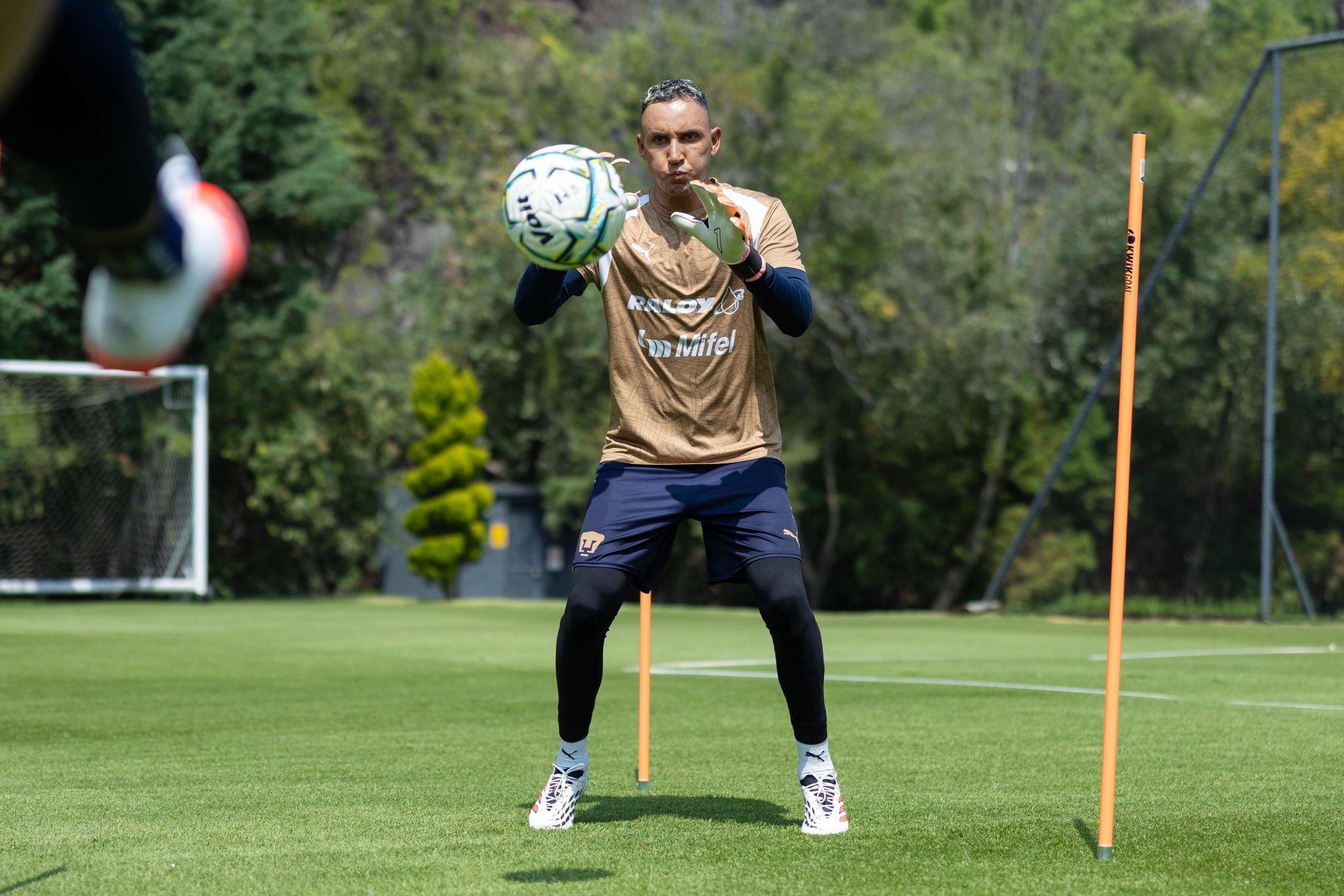 Entrenamiento de Pumas