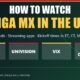 Graphic: how to watch Liga MX in the US on TUDN, Univision, ViX and Fox Deportes