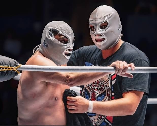 Dos luchadores enmascarados con máscara plateada junto a las cuerdas de un ring.